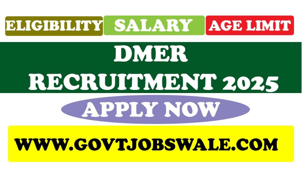 DMER Recruitment 2025