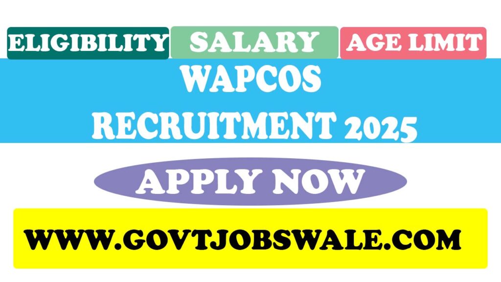 WAPCOS Recruitment 2025